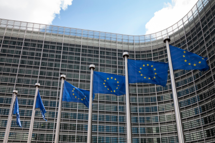 Key trends from the European Parliament Elections 2024